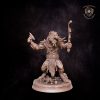 Gnoll pack lord. DnD miniature. Character