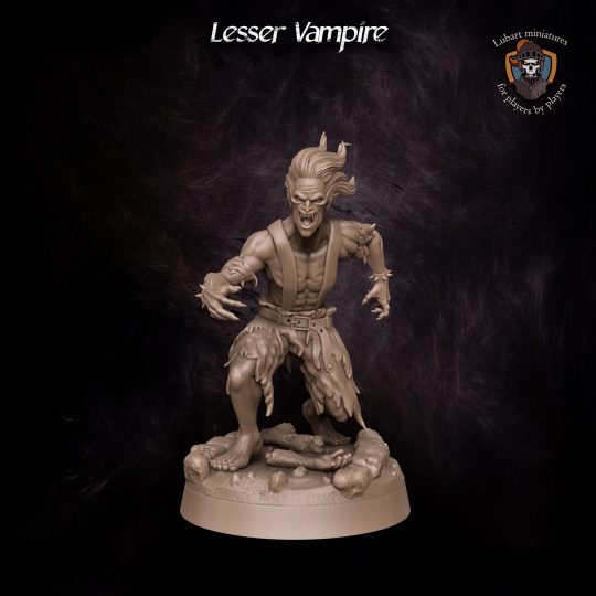 Lesser Vampire. DnD miniature. Character
