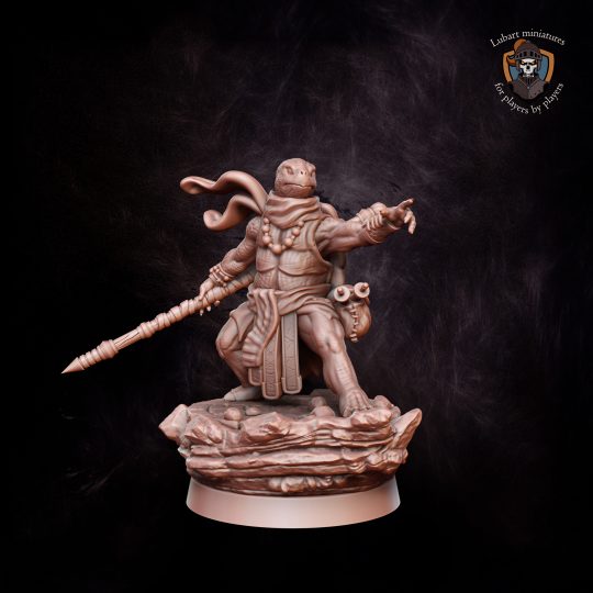 Turtle Monk. DnD miniature. Character