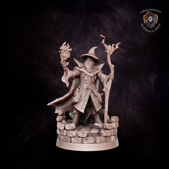 Elf Wizard. DnD miniature. Character