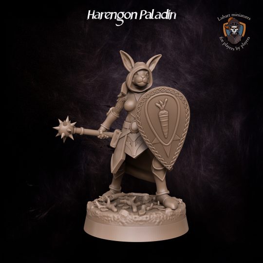Harengon Paladin. DnD miniature. Character